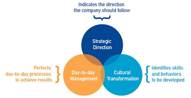 CTEEP management model