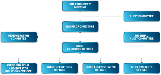 Audit Structure Chart